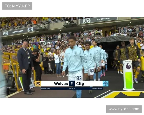 刘易斯足球明星有哪些及其在足球界的影响与成就解析