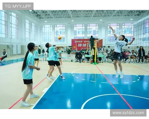 广州排球队的意识提升与团队协作探讨聚焦排球运动发展新方向